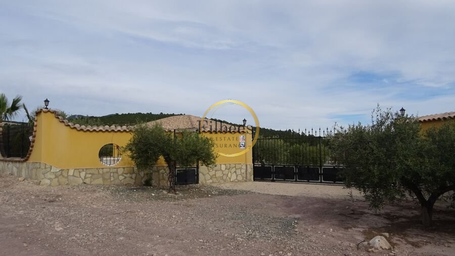 Propiedad 29