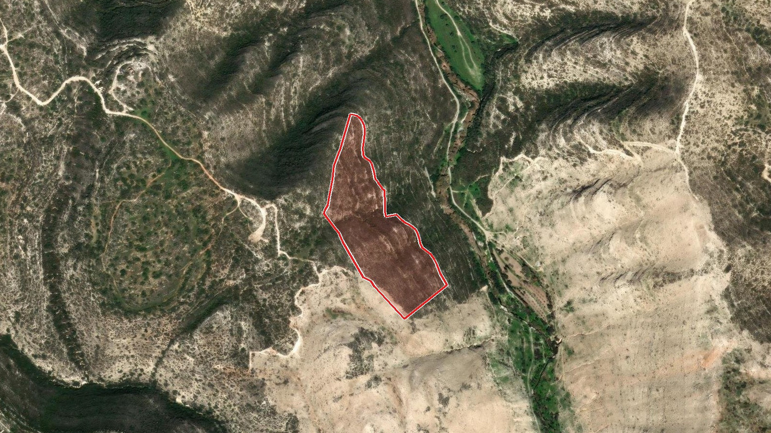 Field of 42,810 m² for Sale in Palodeia