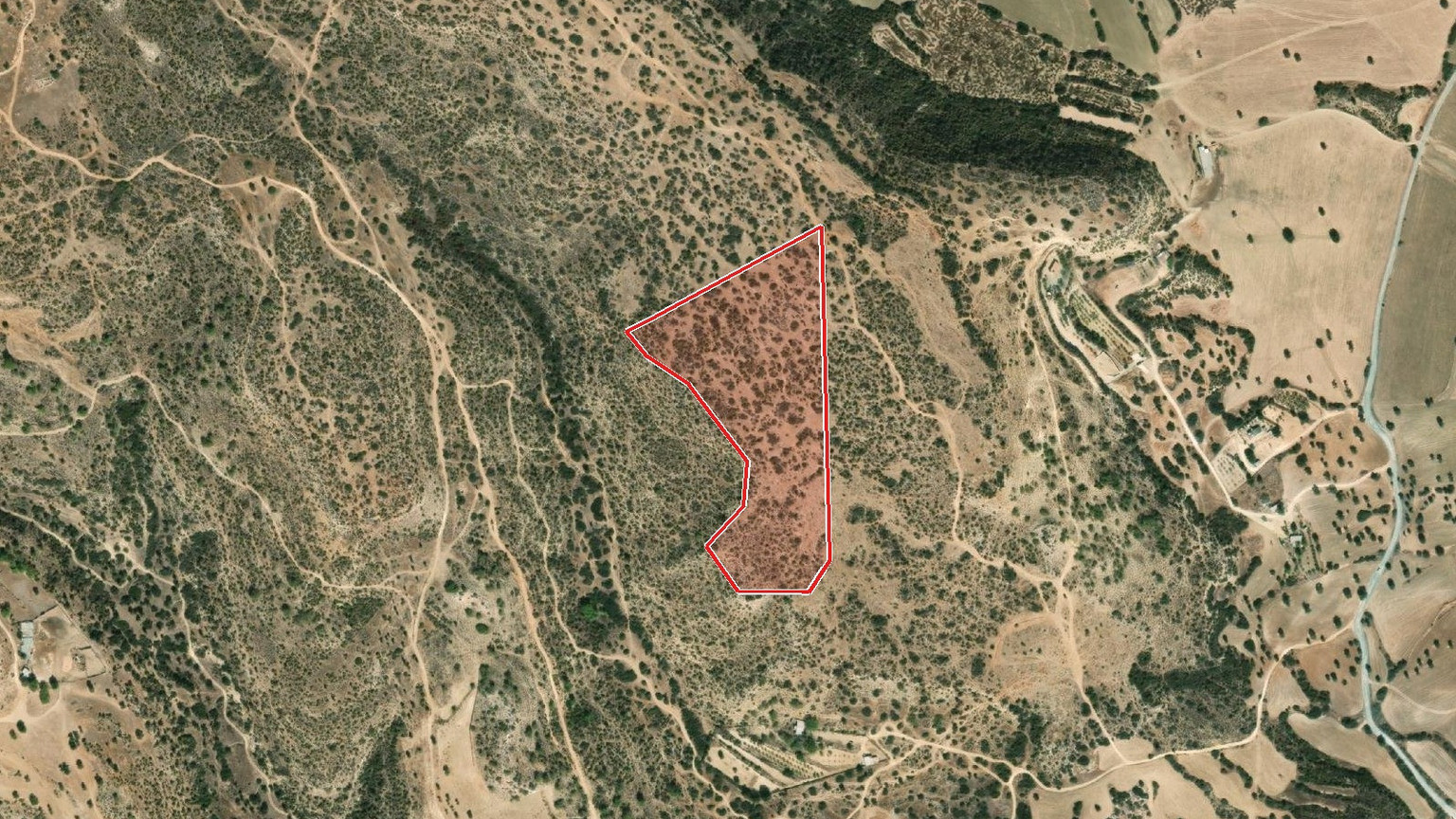 Share of Field for Sale in Pissouri