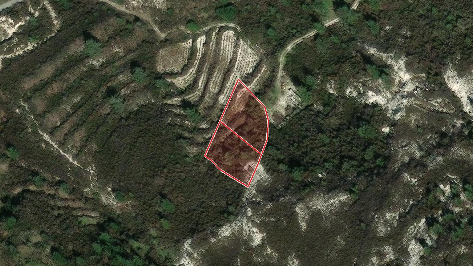 Field of 2,749 m² for Sale in Trimiklini