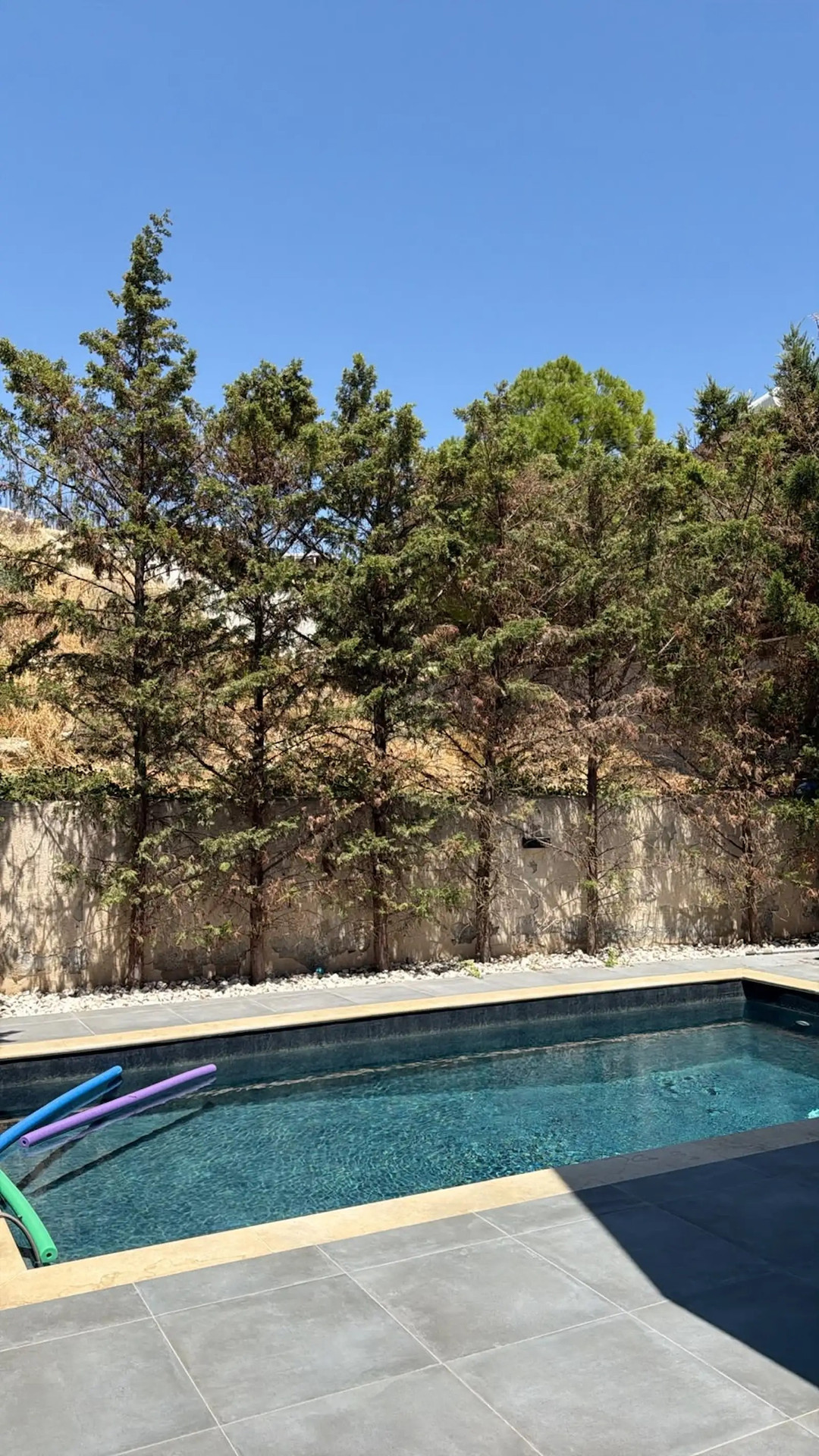 Luxury 5-Bedroom Villa with Private Pool in Agios Athanasios