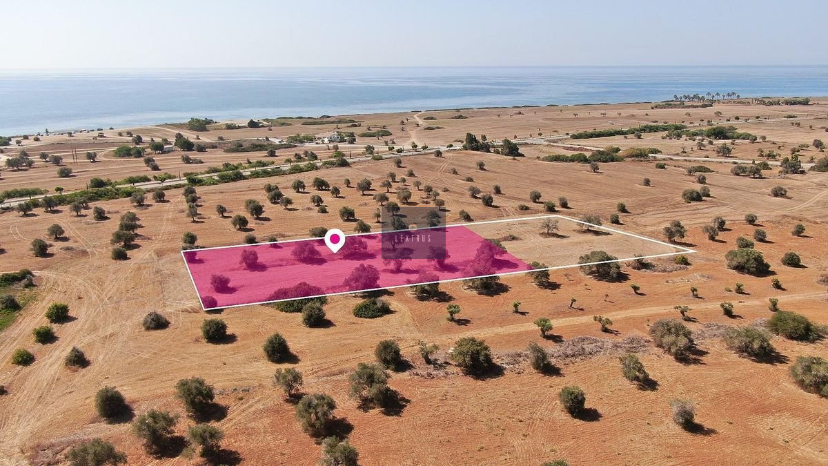 75% Share of a Touristic Field in Mazotos, Larnaca 10293