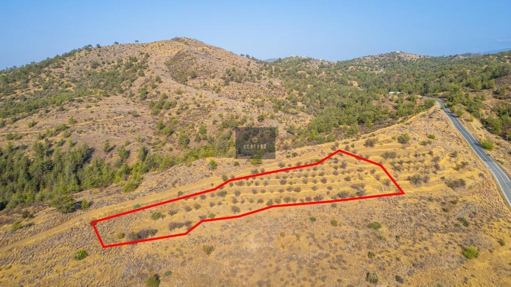 Field in Agia Marina Xyliatou, Nicosia