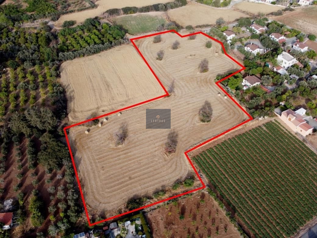 🏞️ Exclusive Residential Field in Agios Theodoros, Larnaca: Where Nature Meets Serenity! 1493