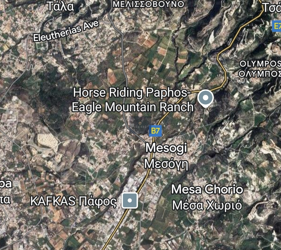 Large 1049m2 Field for Sale in Mesogi Village