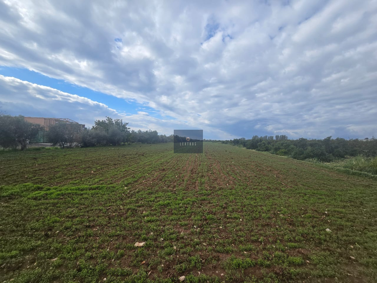 Large 8111m2 Field for Sale in Mandria Pafou