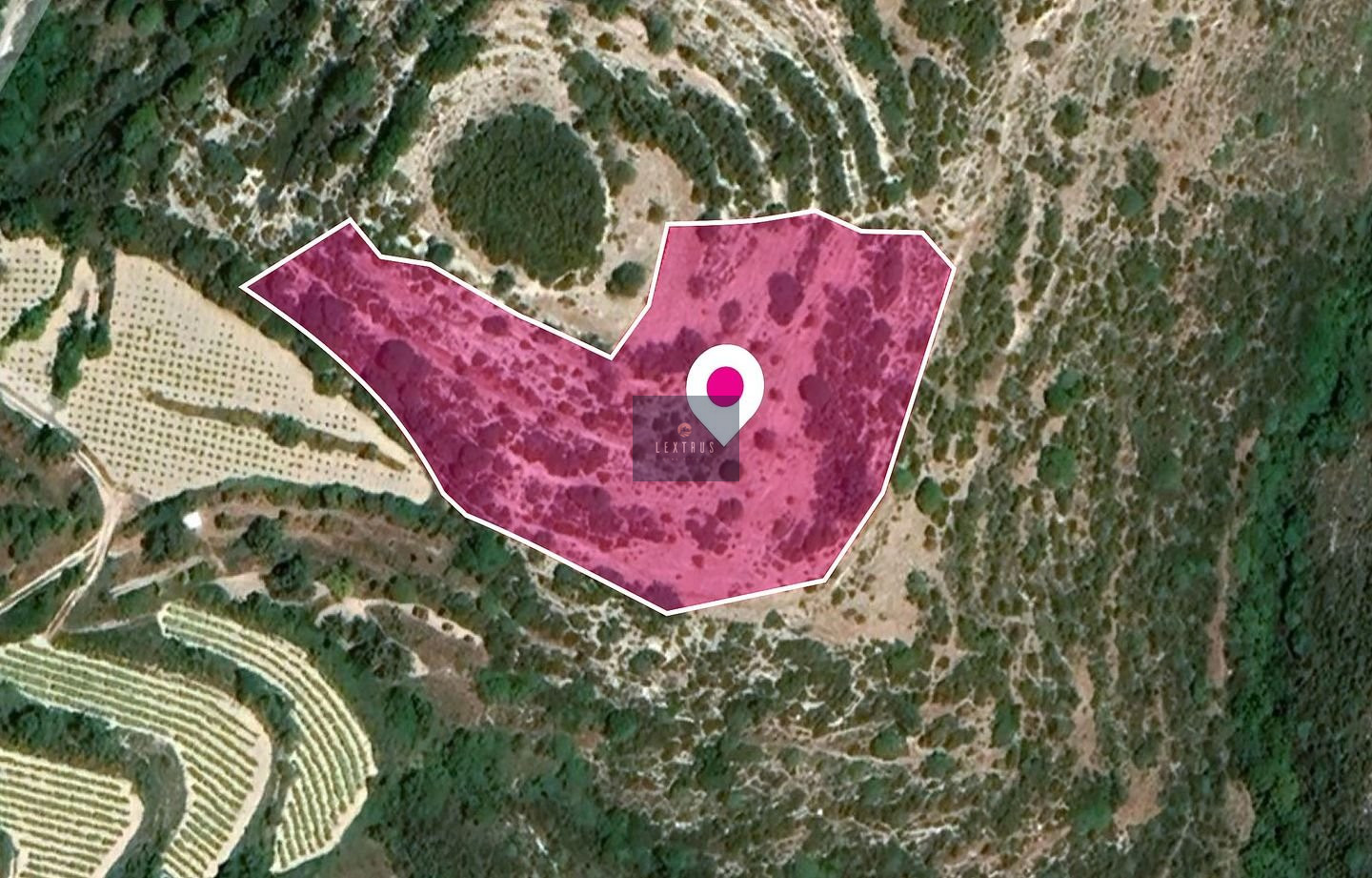 Agricultural Field, Koili, Paphos