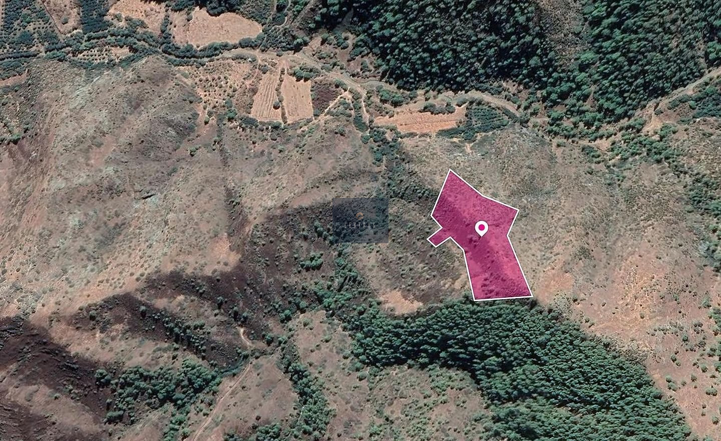 Agricultural field in Pigenia, Nicosia