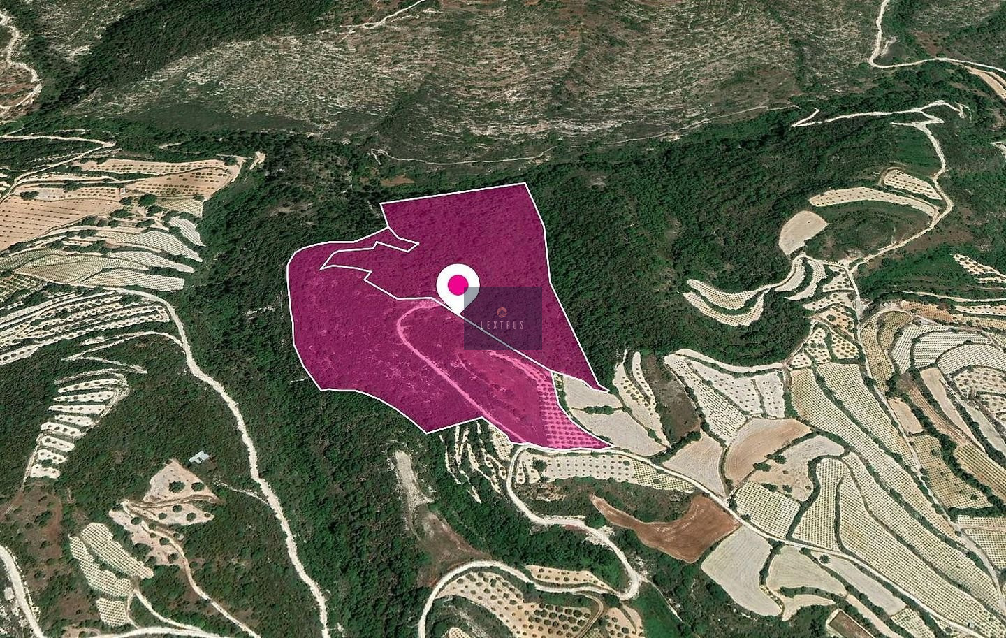 Share Agricultural Fields, Koili, Paphos