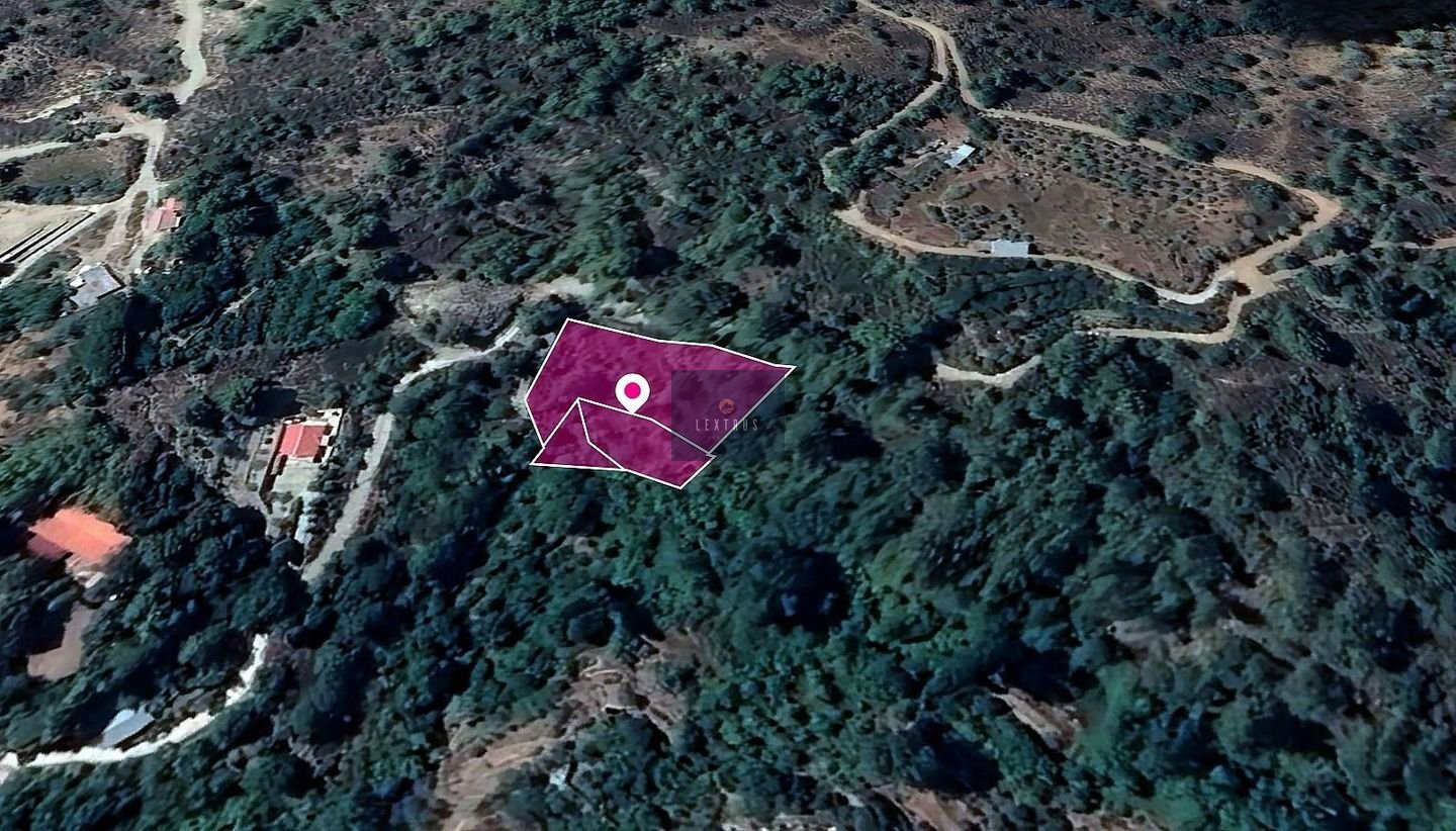 Shared Residential Fields in Lemithou, Limassol