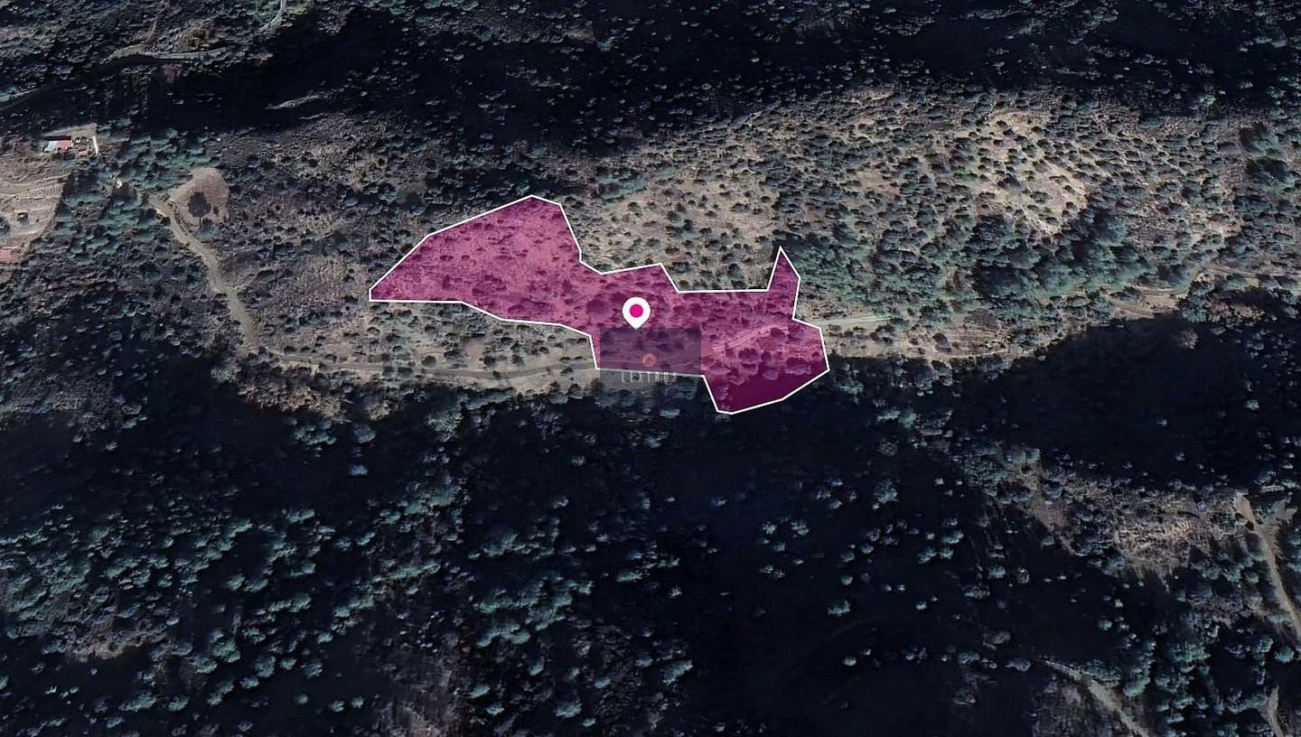 Field, Kaminaria, Limassol
