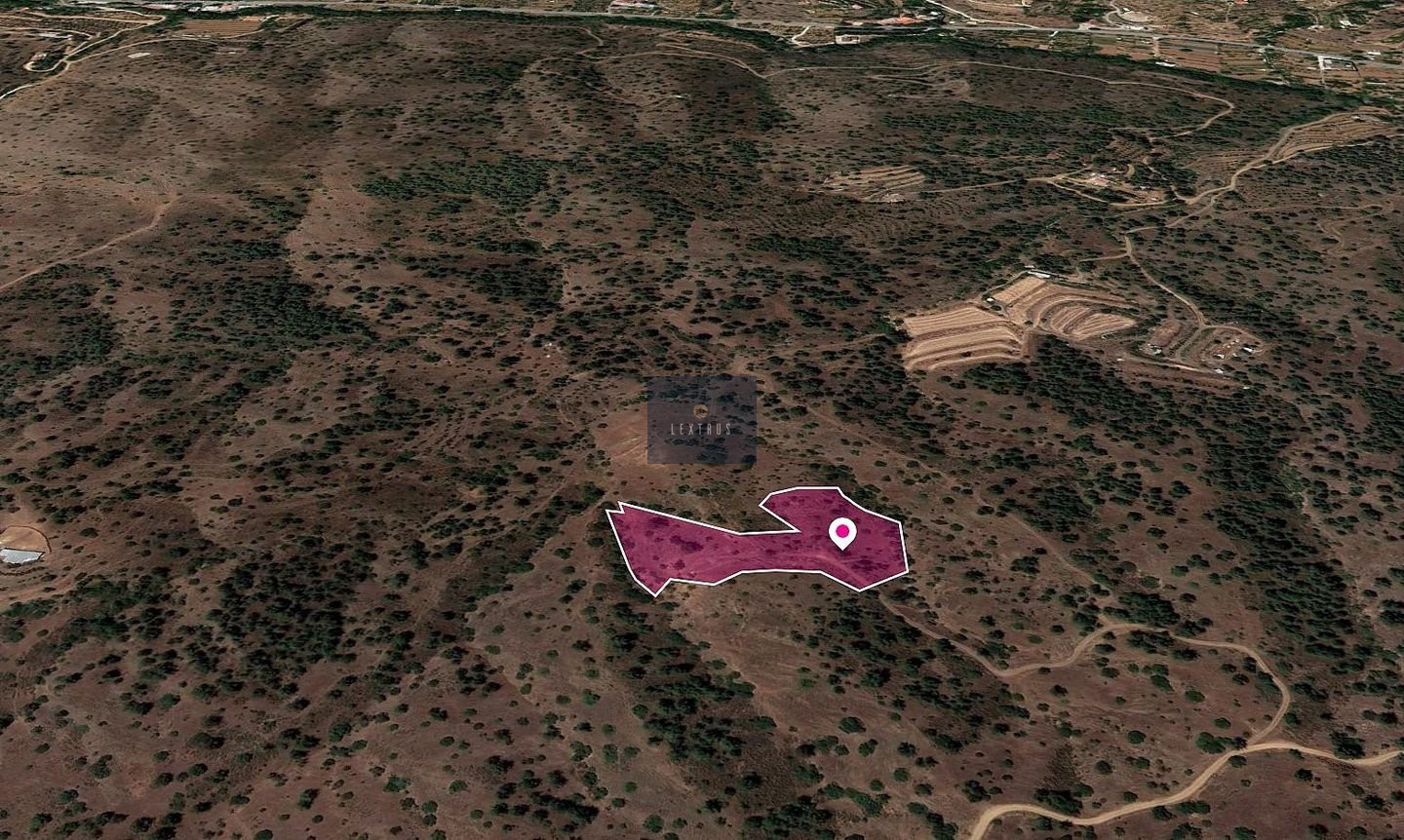 Field in Gourri, Nicosia