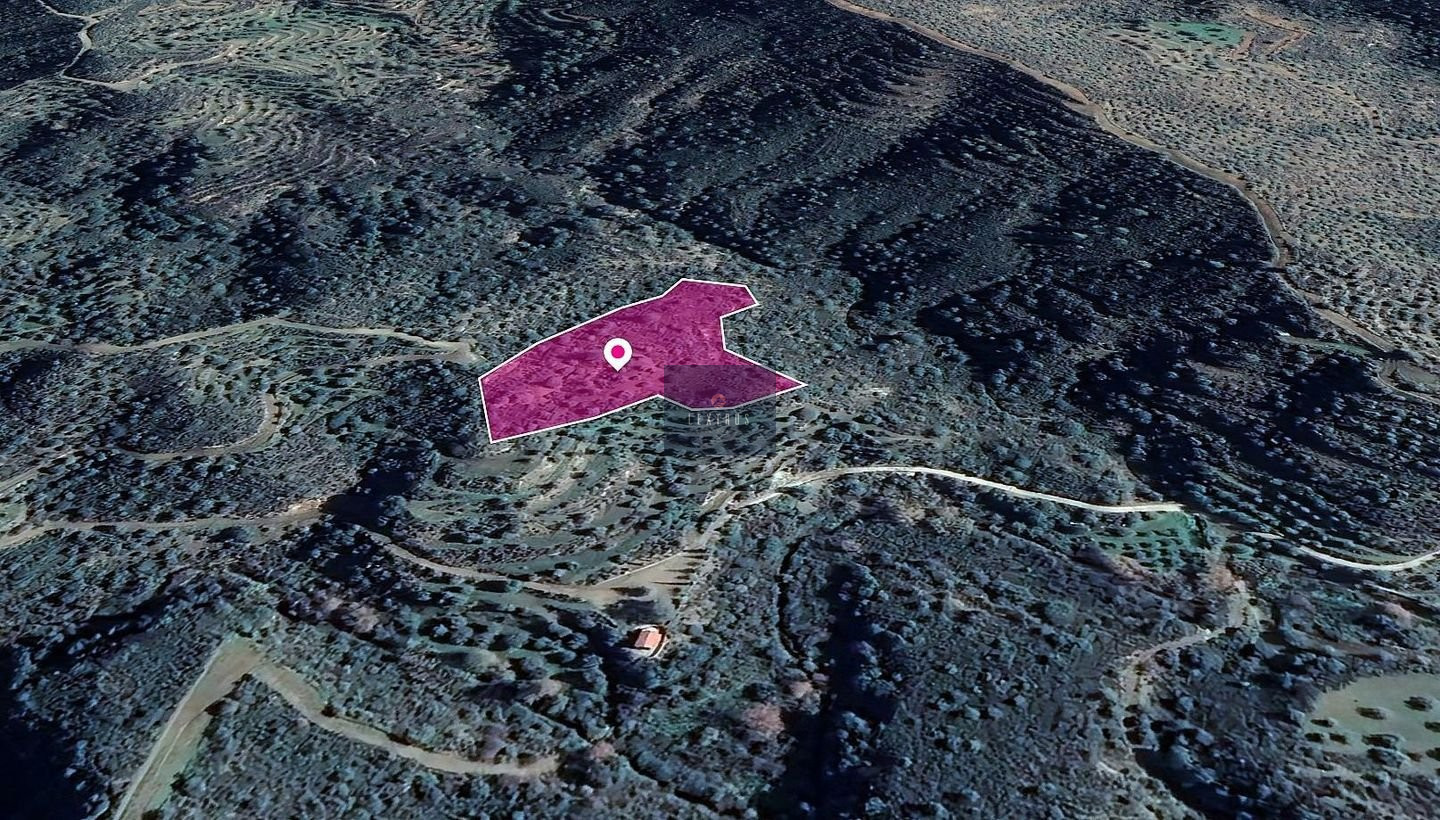 Field in Vavla, Larnaca