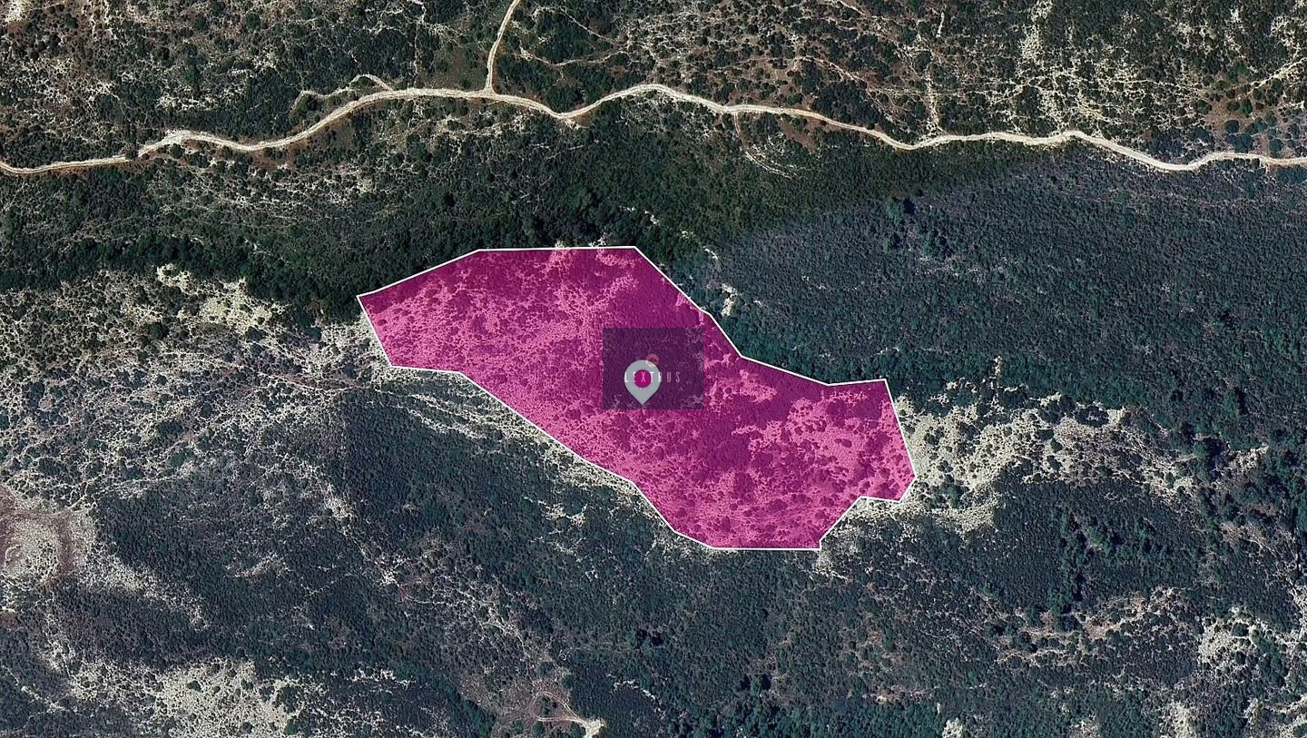 Field in Platanisteia Comm, Limassol