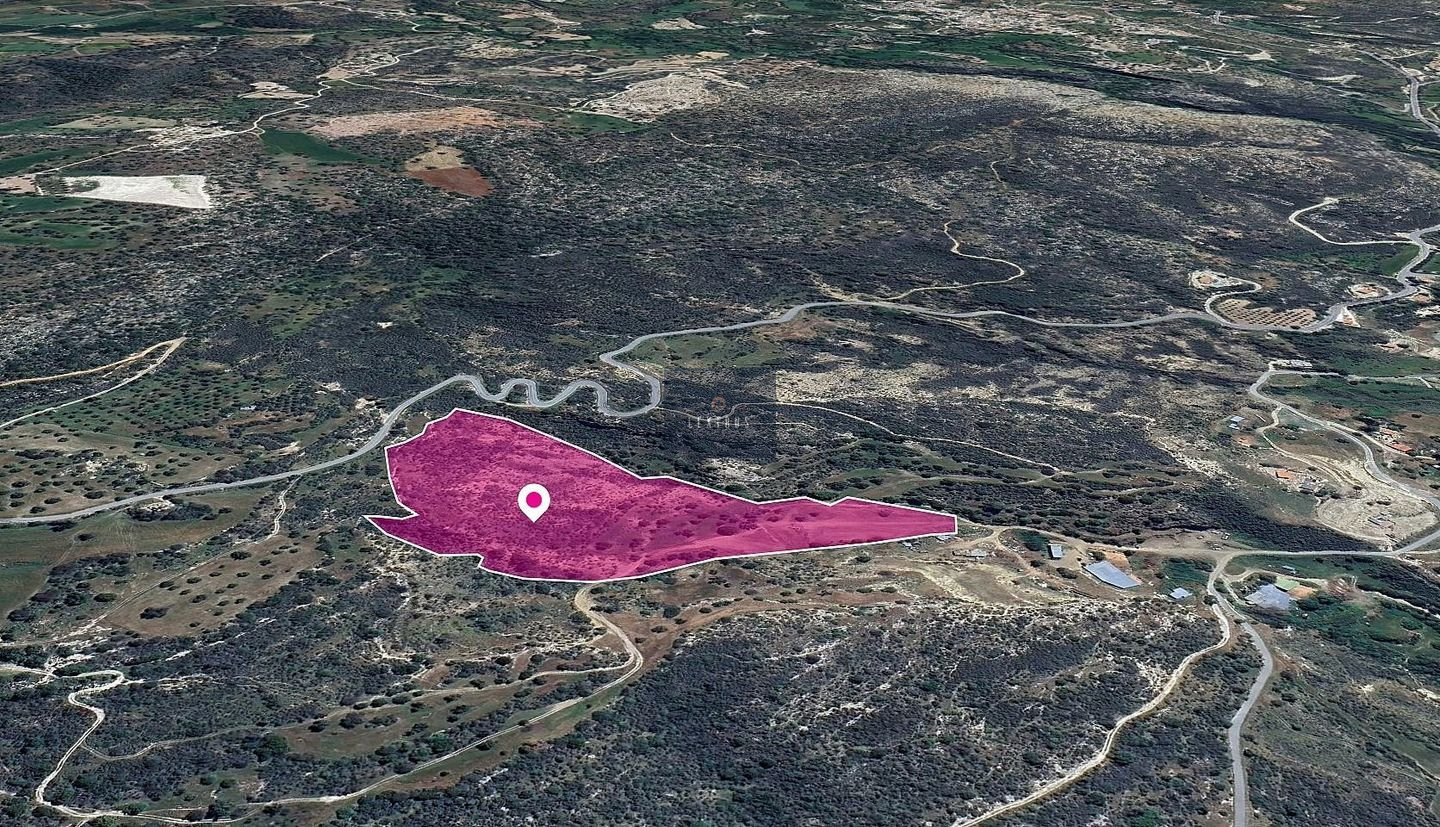 Share Field, Agios Isidoros, Paphos