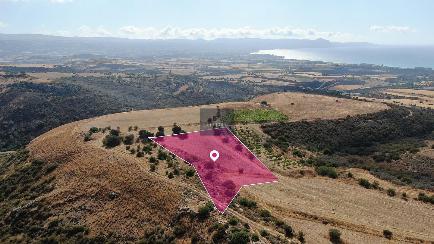 Agricultural field, Pelathousa, Paphos