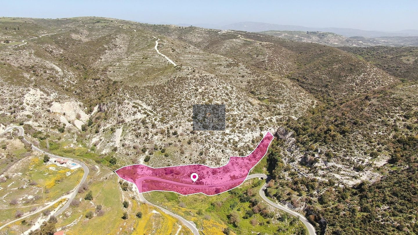 Share Residential/Agricultural Field, Akoursos, Paphos