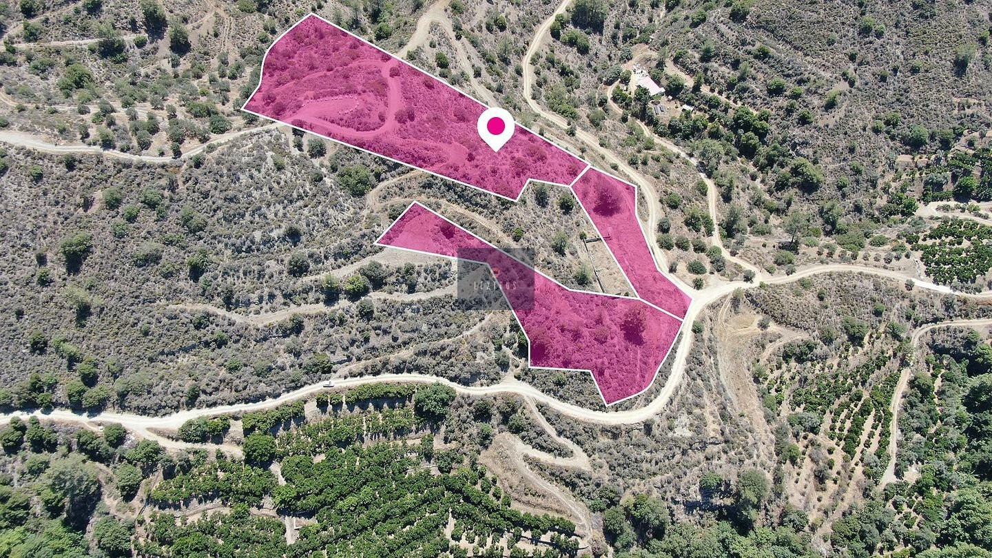 Three adjacent fields, Dierona, Limassol