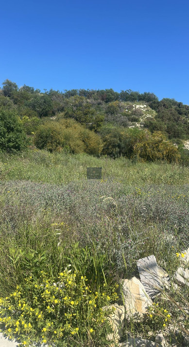Prime Residential Plot – Agios Athanasios, Limassol (17998)