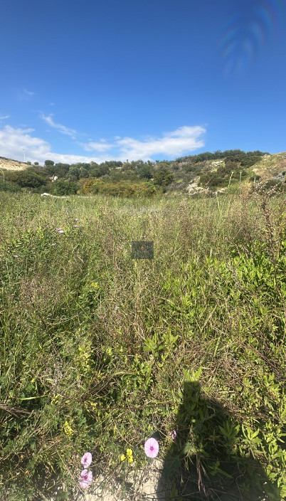 Prime Residential Plot Agios Athanasios, Limassol 17999