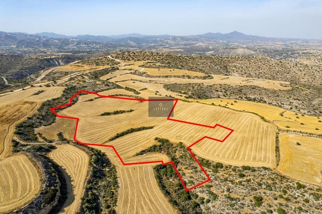 Shared field in Choirokoitia, Larnaca