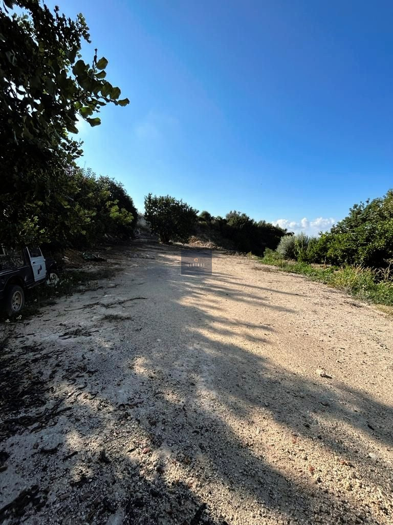 Residential Field with Panoramic in Pegeia, Paphos