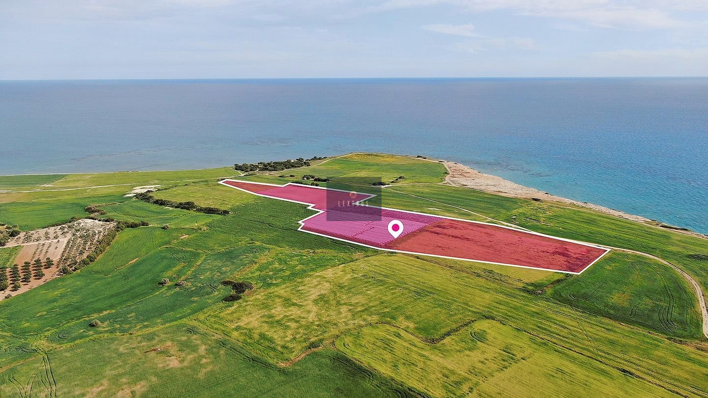 Seaview Field in Mazotos, Larnaca 6682