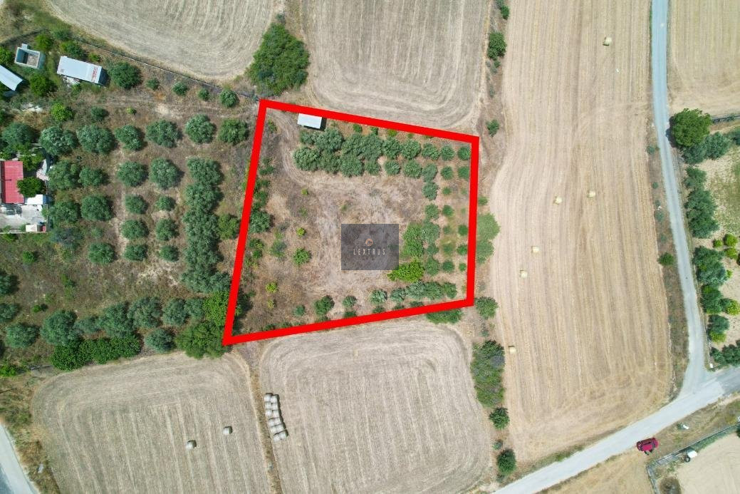 Residential field in Pera, Nicosia