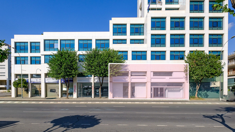 Trading area 268 m² for rent in Agioi Omologites, Nicosia City Centre, Cyprus
