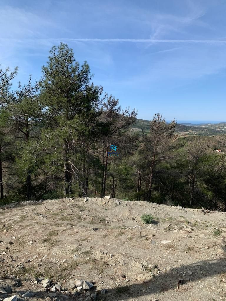 RESIDENTIAL FIELD IN K. PLATRES