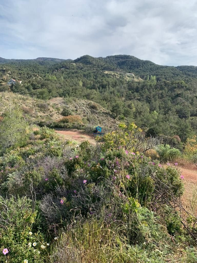 RESIDENTAL FIELD IN K. PLATRES