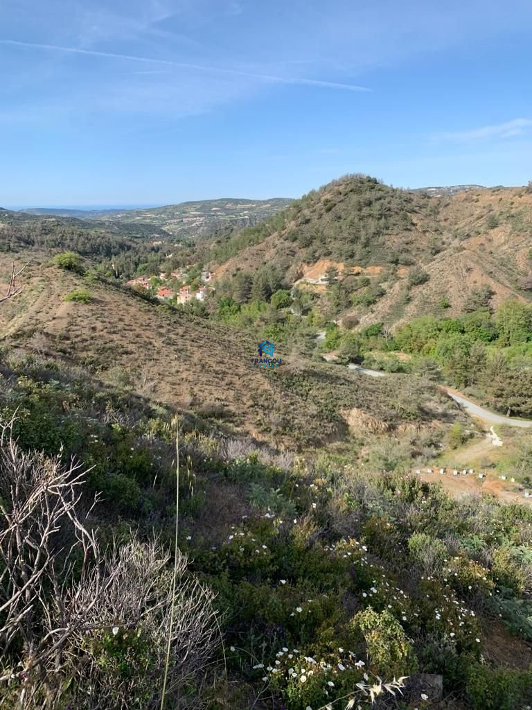 RESIDENTAL FIELD IN K. PLATRES