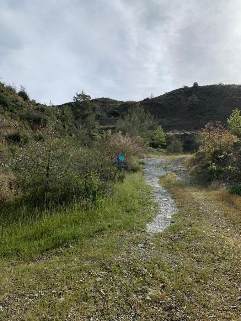 RESIDENTAL FIELD IN K. PLATRES