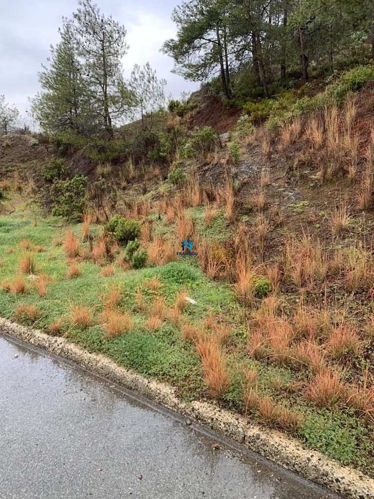 Building Plot in Moniatis