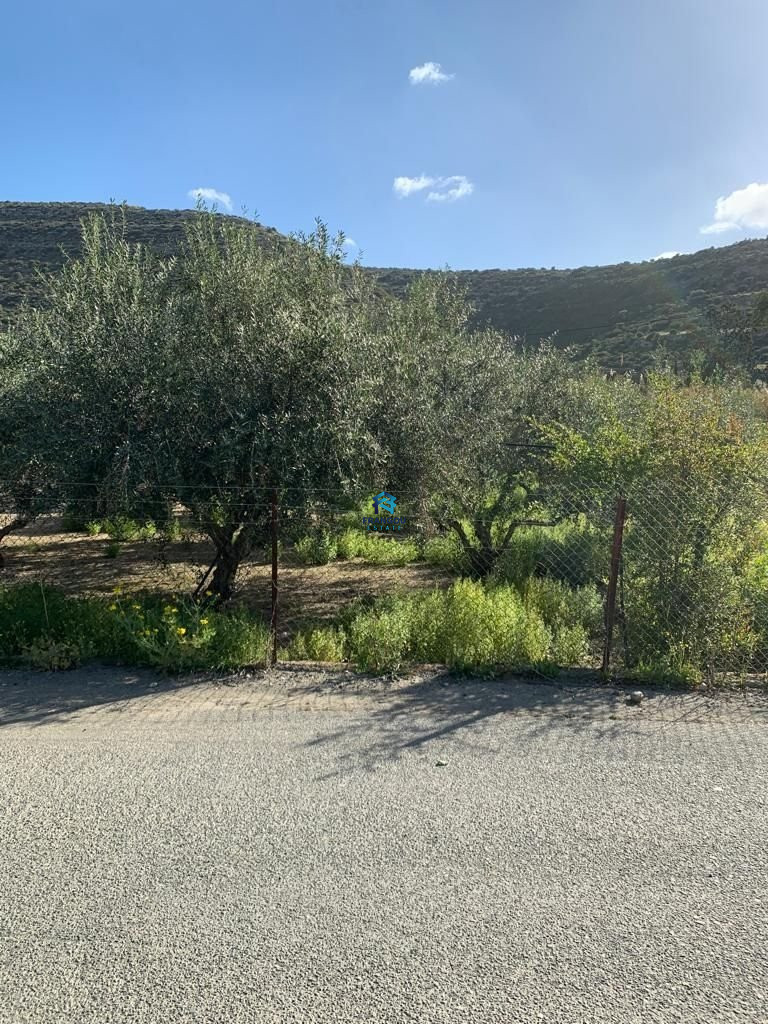 Field in Germasogeia