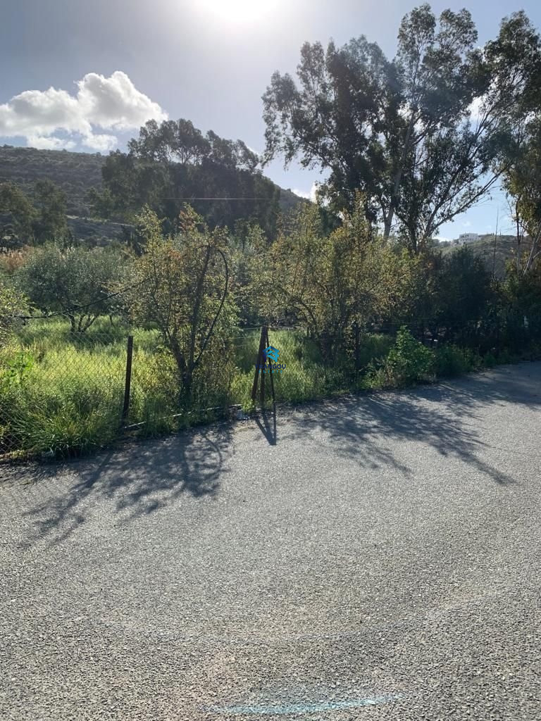 Field in Germasogeia