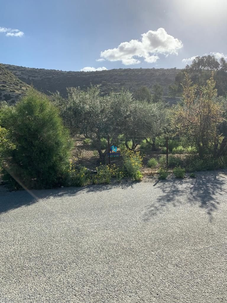 Field in Germasogeia