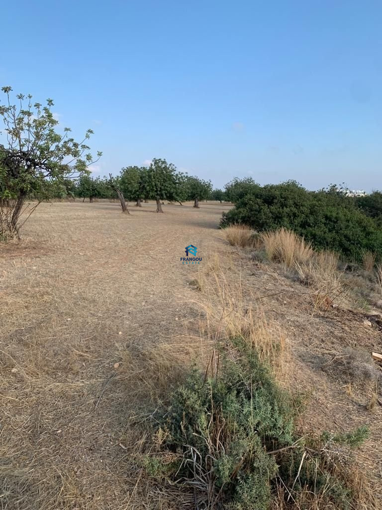 Field in LIMASSOL