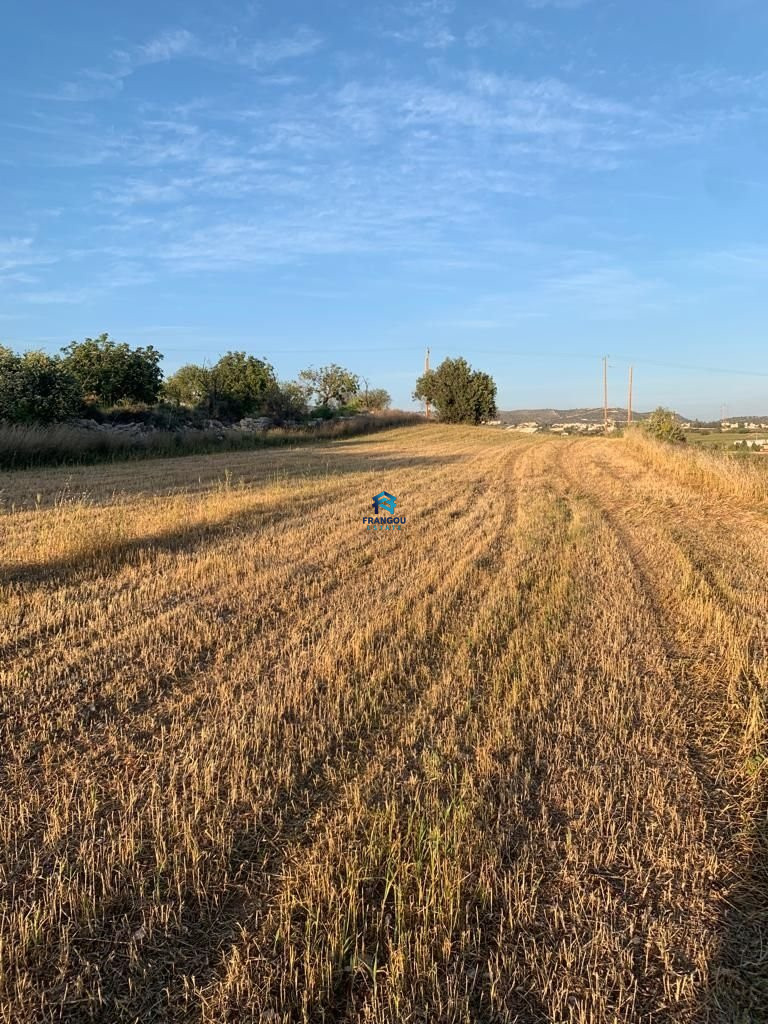Field in LIMASSOL