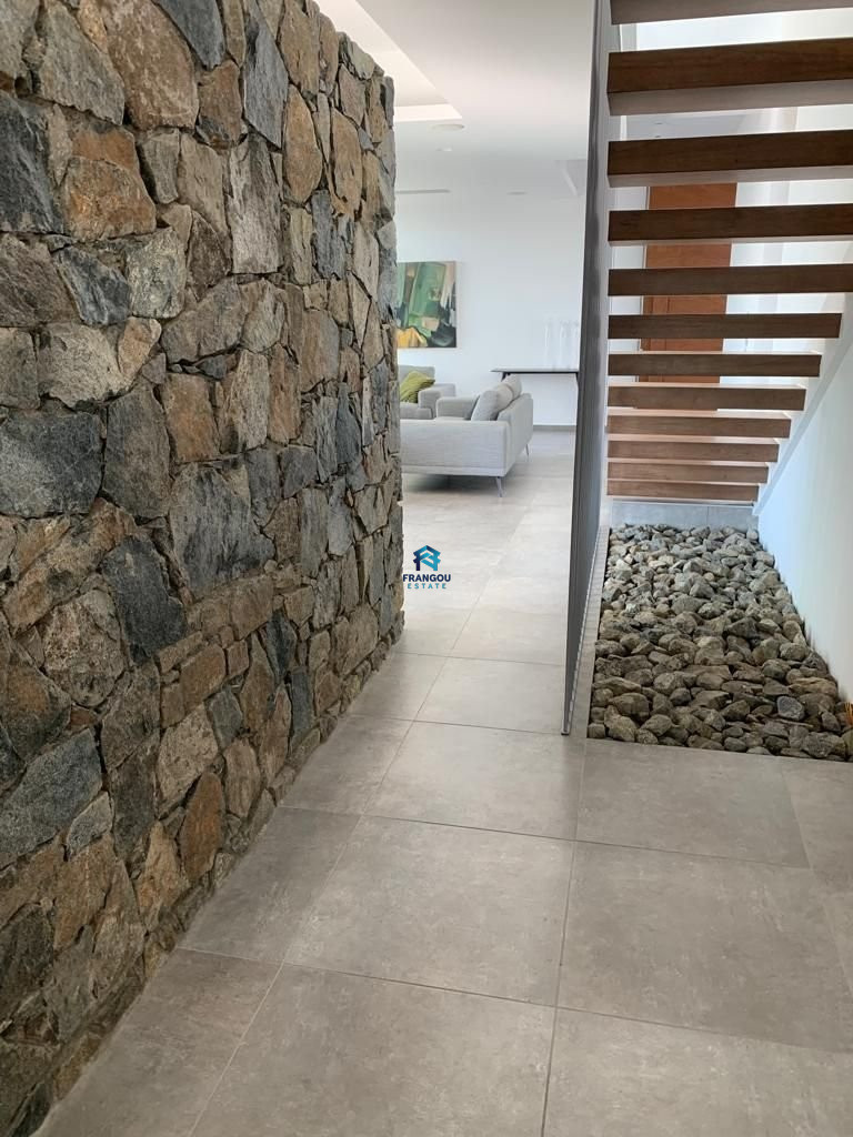 BEAUTIFULL MODERN VILLA IN MONIATIS