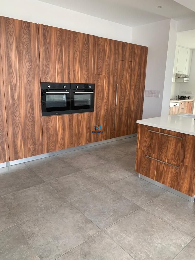 BEAUTIFULL MODERN VILLA IN MONIATIS