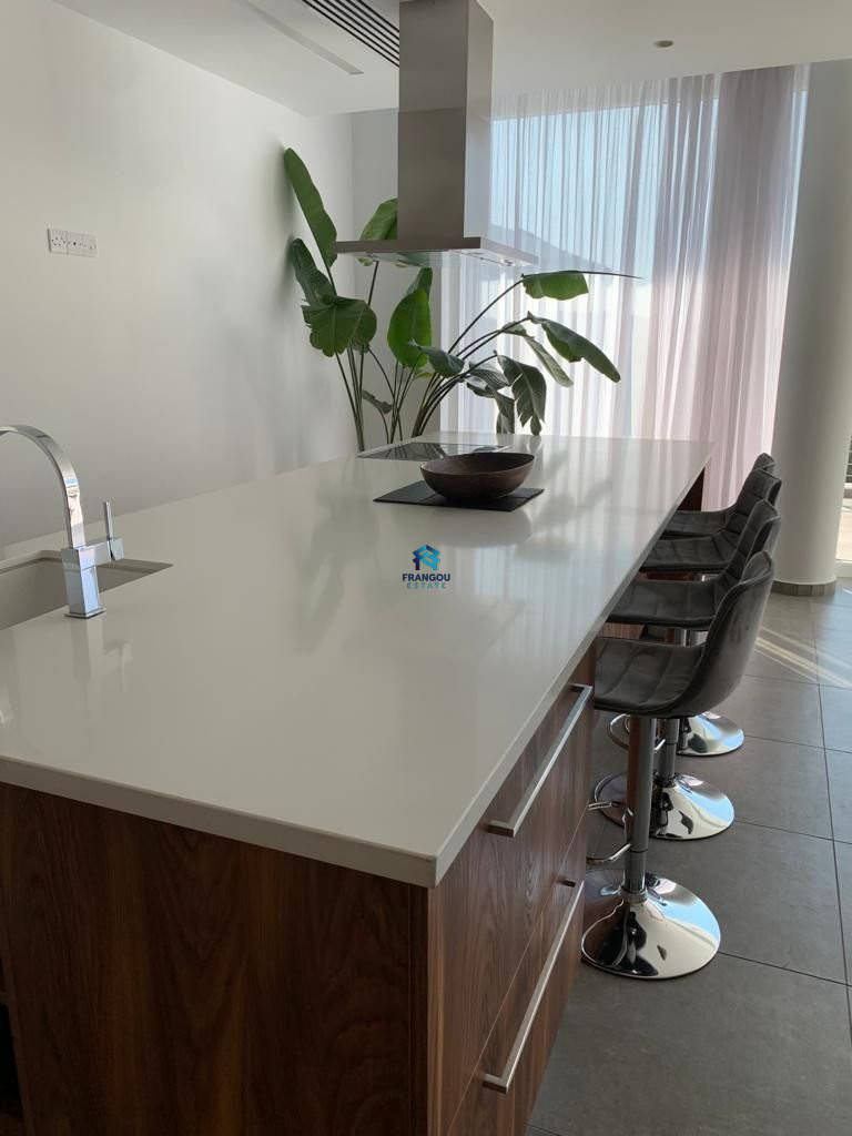 BEAUTIFULL MODERN VILLA IN MONIATIS