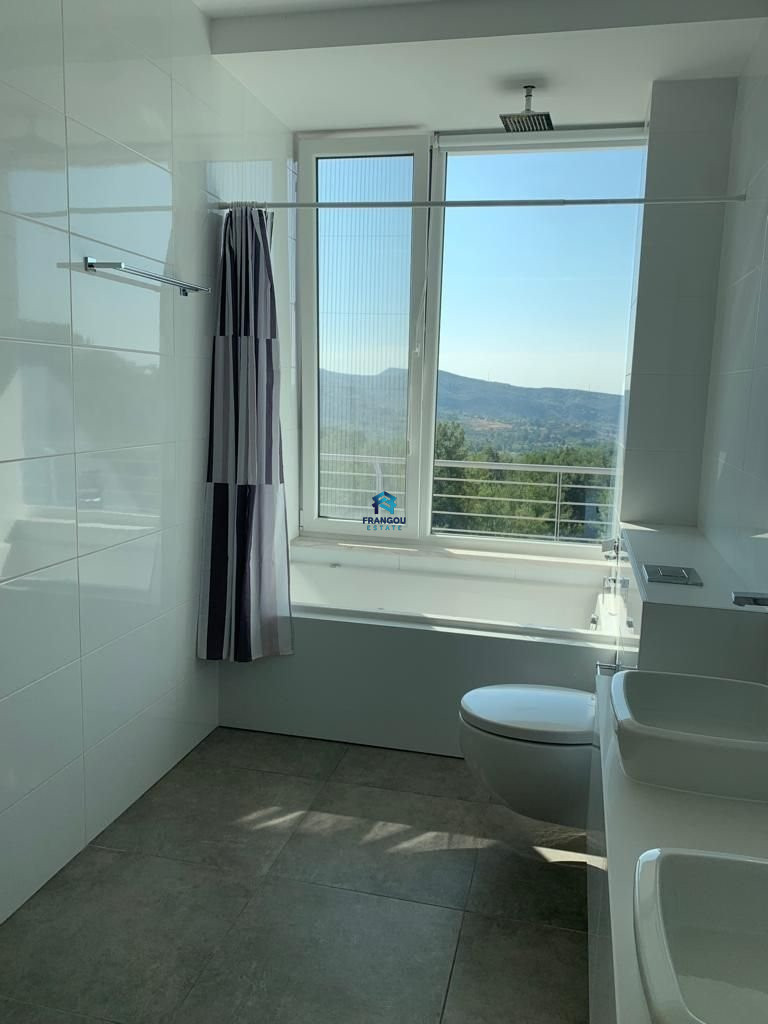 BEAUTIFULL MODERN VILLA IN MONIATIS