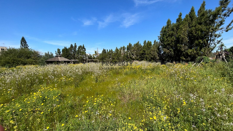 Plot of land for sale 1561 m² in Kato Polemidia, Limassol, Cyprus