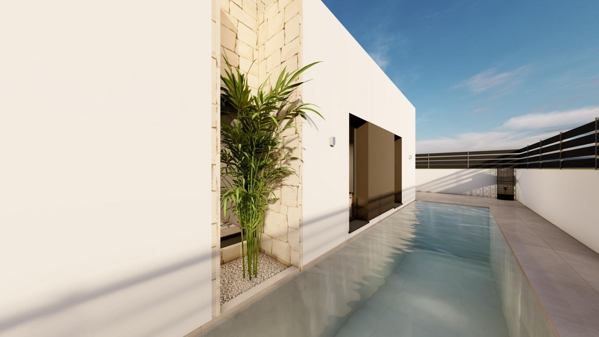 Property 29