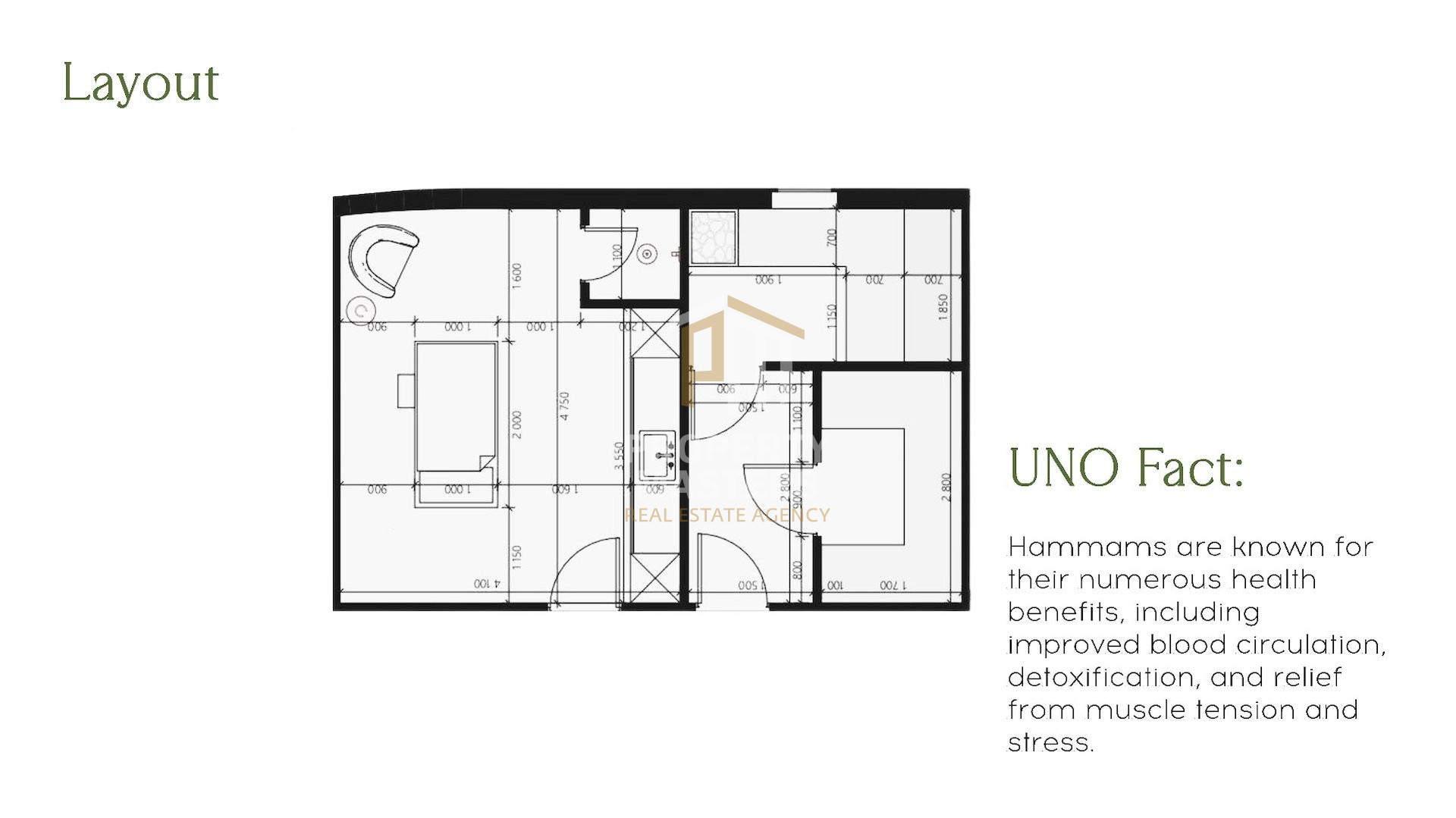 2 Bedroom Apartment in Chlorakas, Paphos
