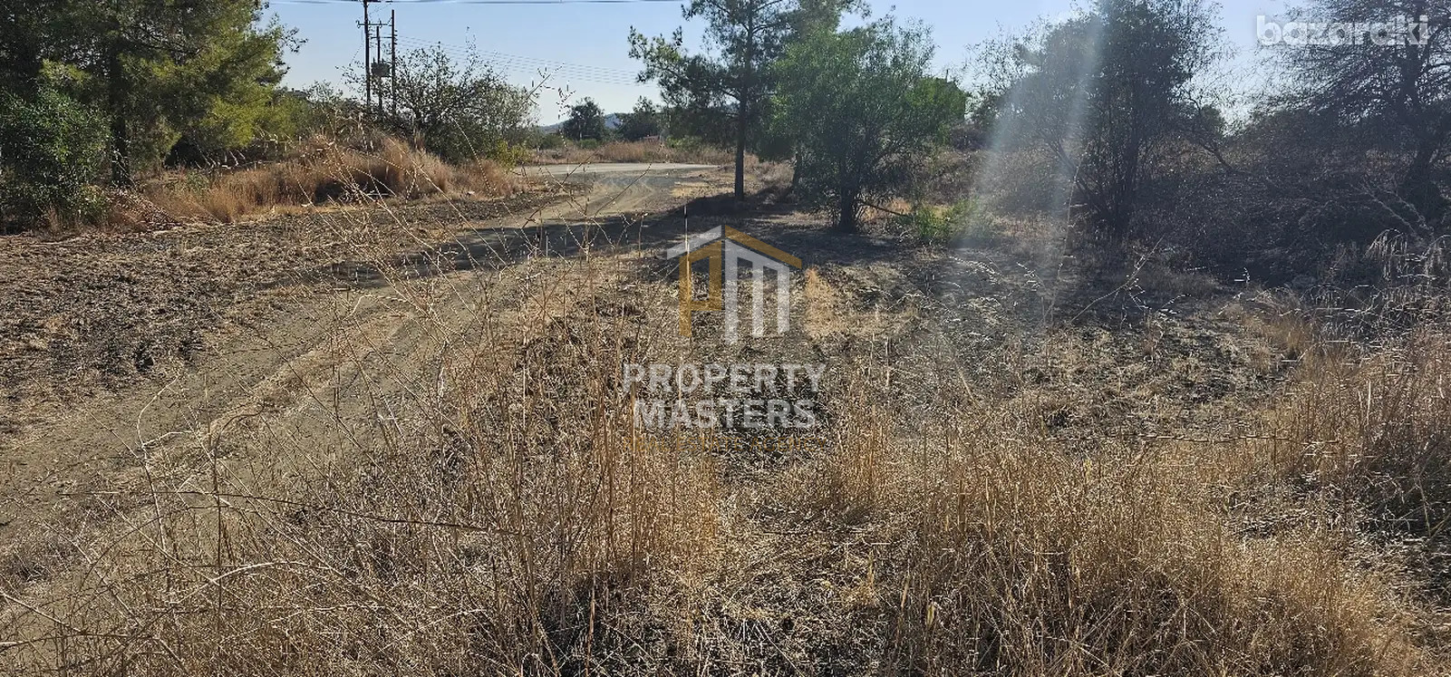 Field in Sia photo 6