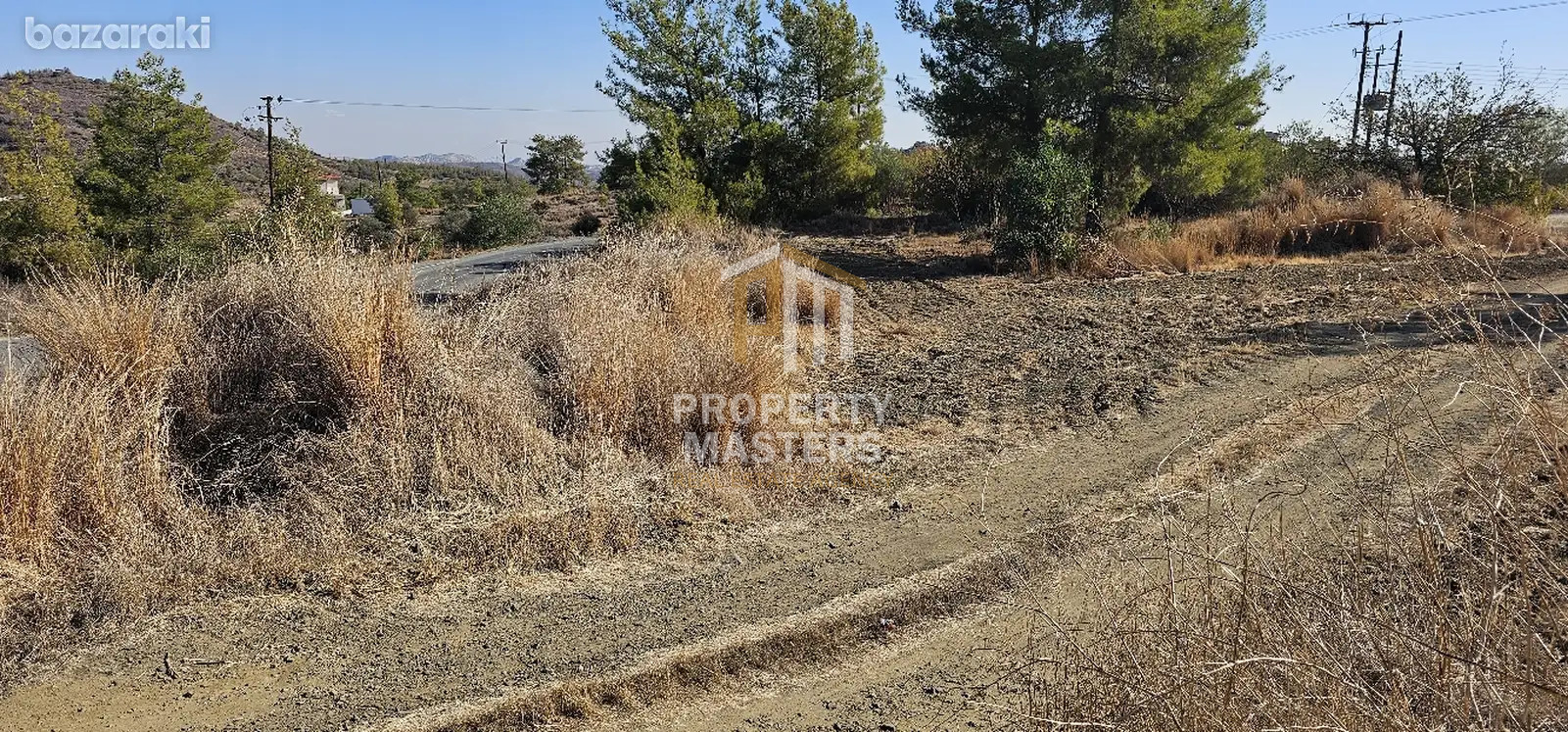Field in Sia photo 3