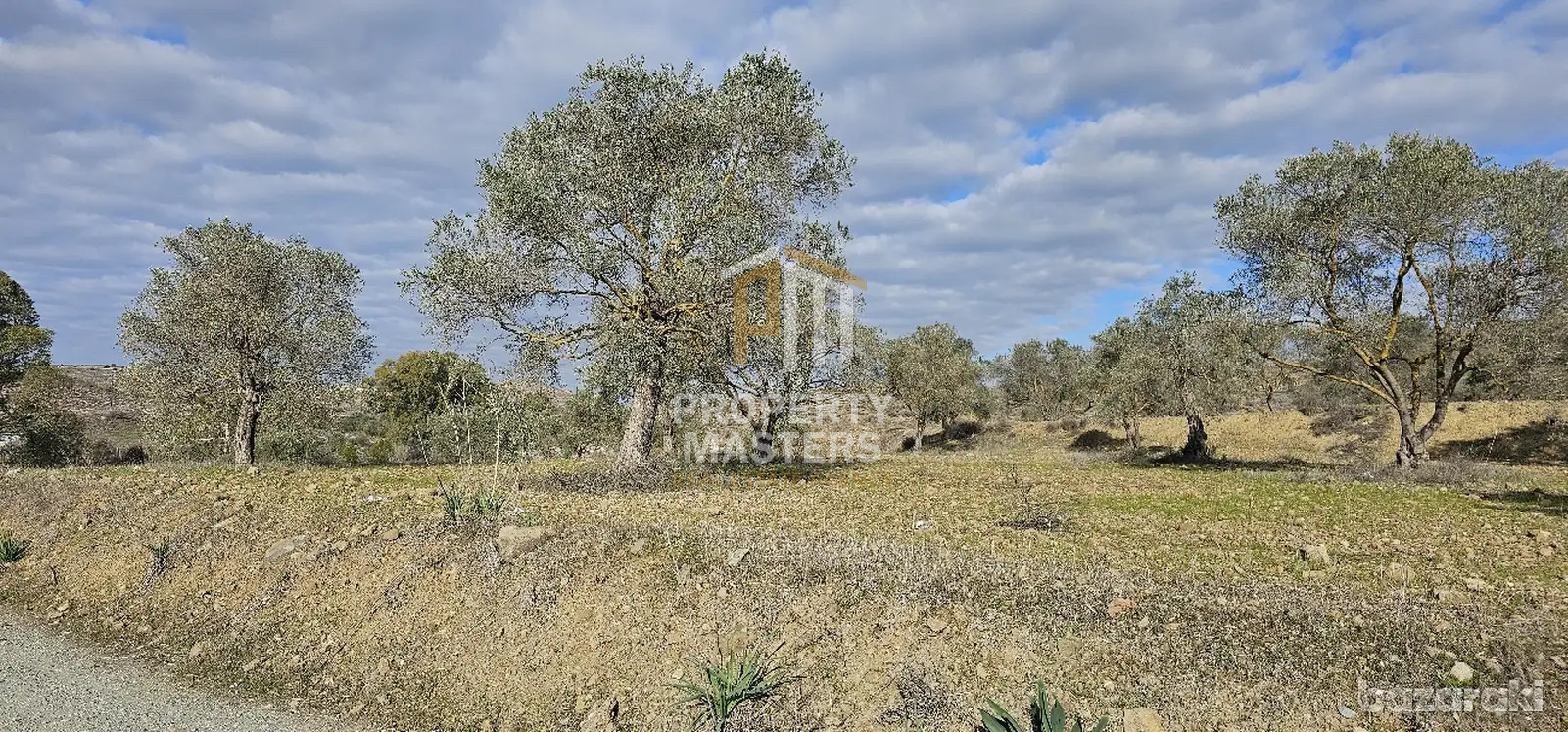 Field in Alampra photo 4