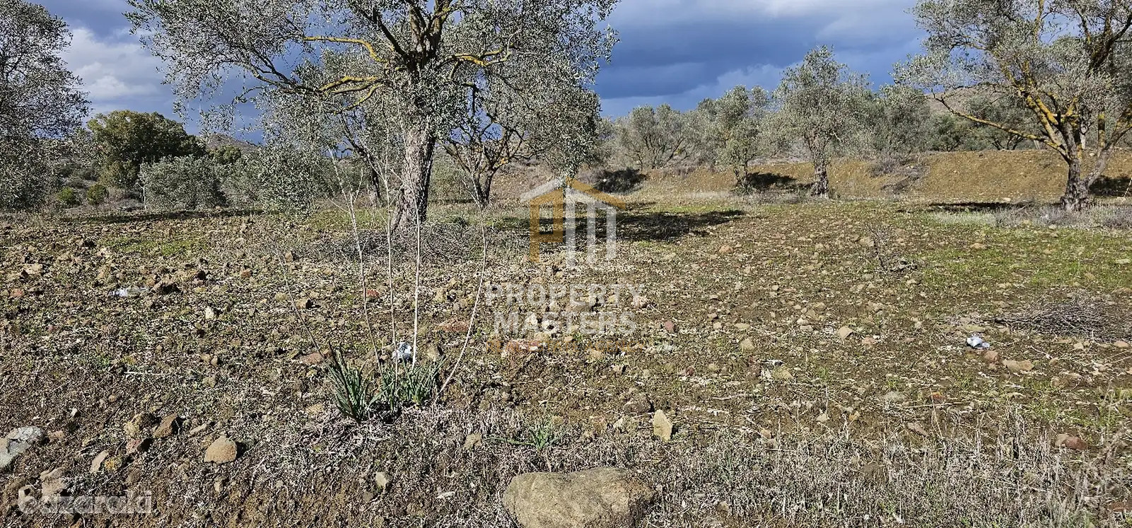 Field in Alampra photo 5